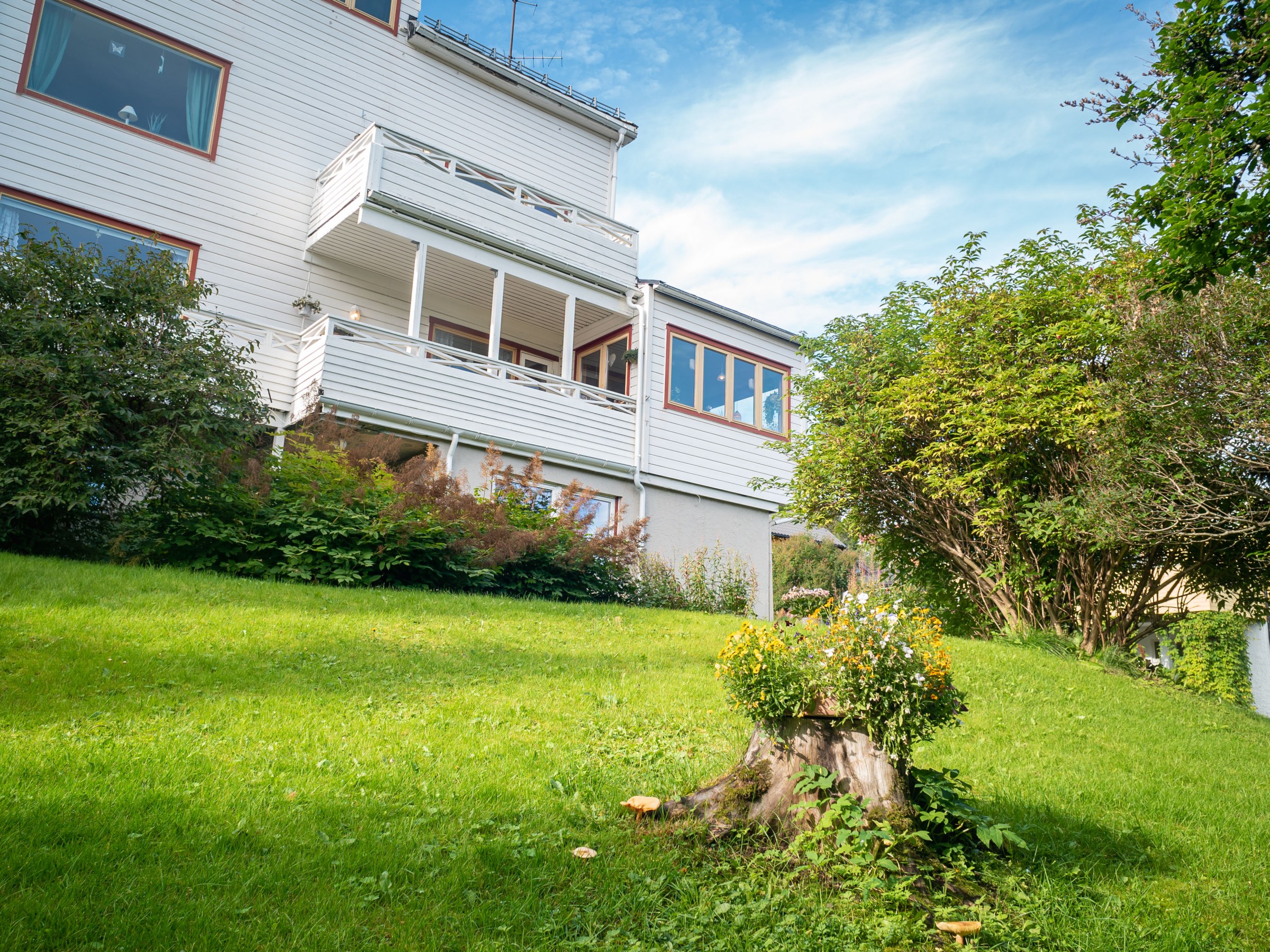 White house with balconies, surrounded by lush greenery and a tree stump with flowers, under a blue sky.